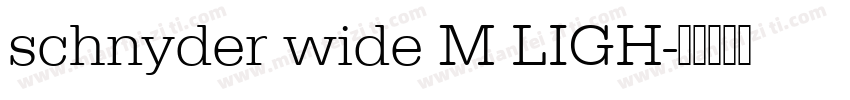 schnyder wide M LIGH字体转换